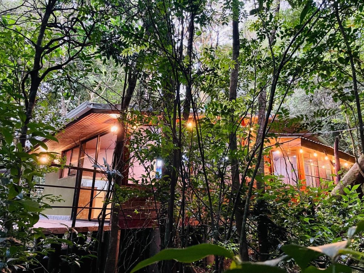 Cabanas La Montana Monteverde 외부 사진