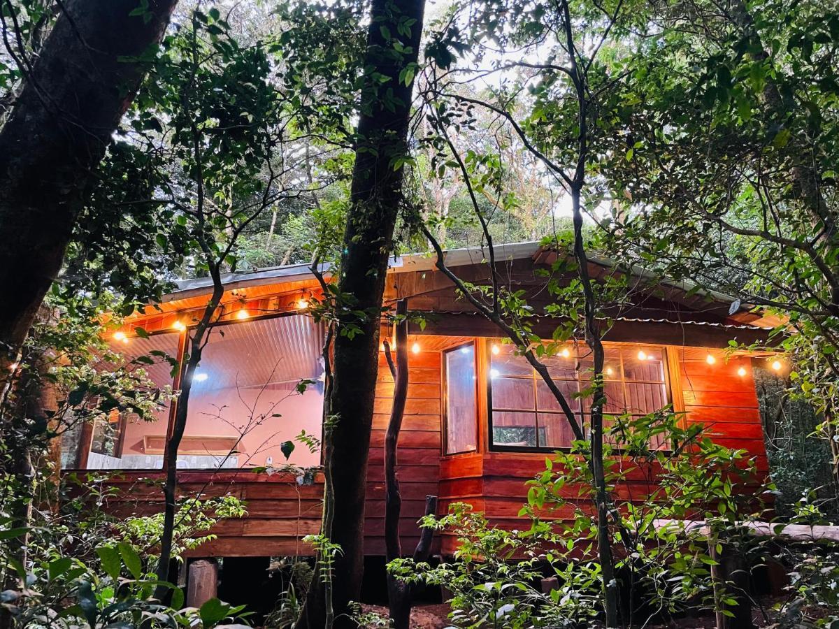 Cabanas La Montana Monteverde 외부 사진