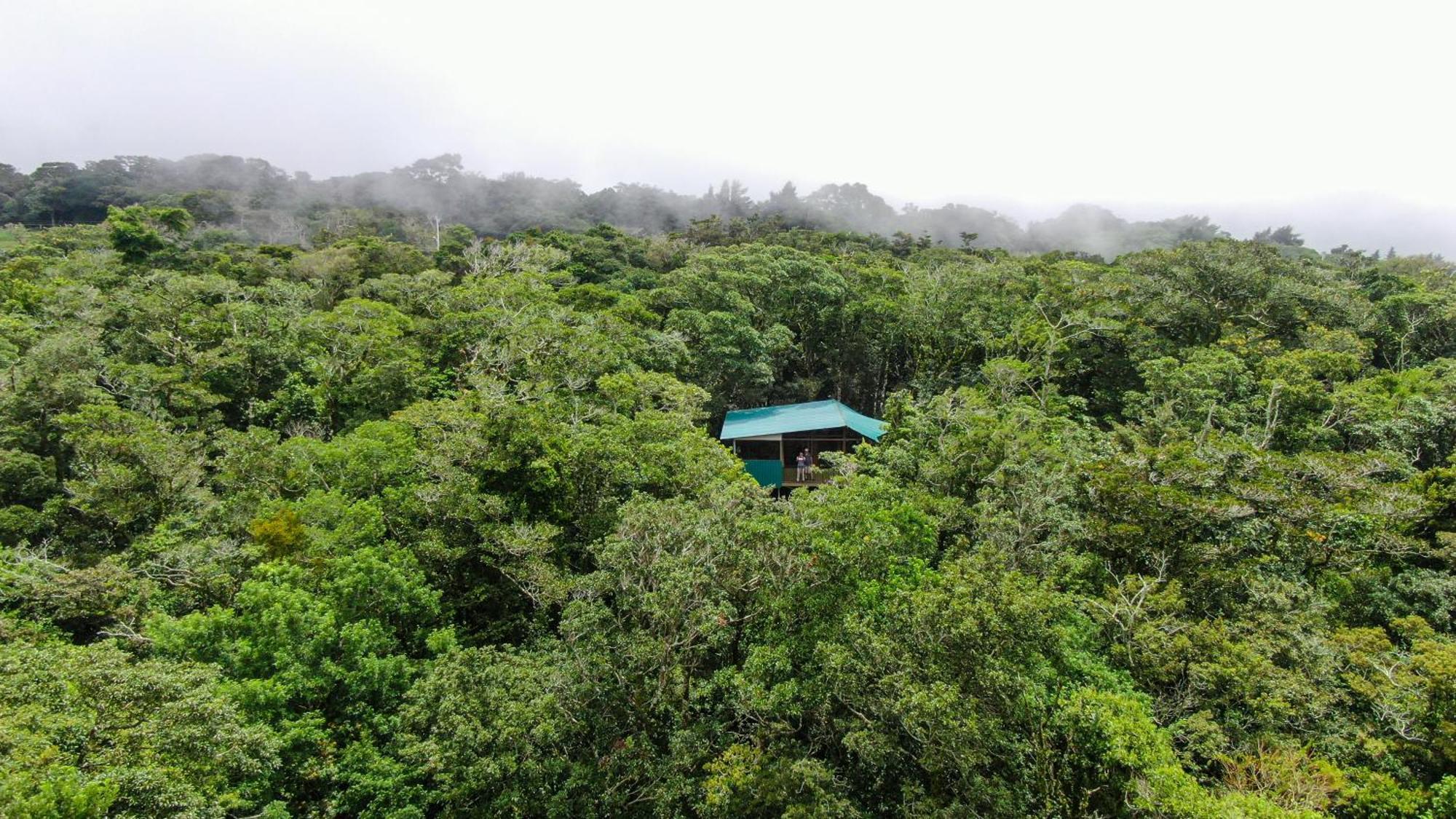 Cabanas La Montana Monteverde 외부 사진