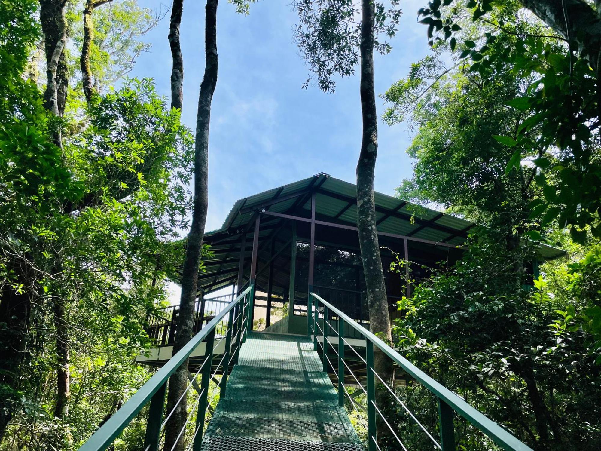 Cabanas La Montana Monteverde 외부 사진