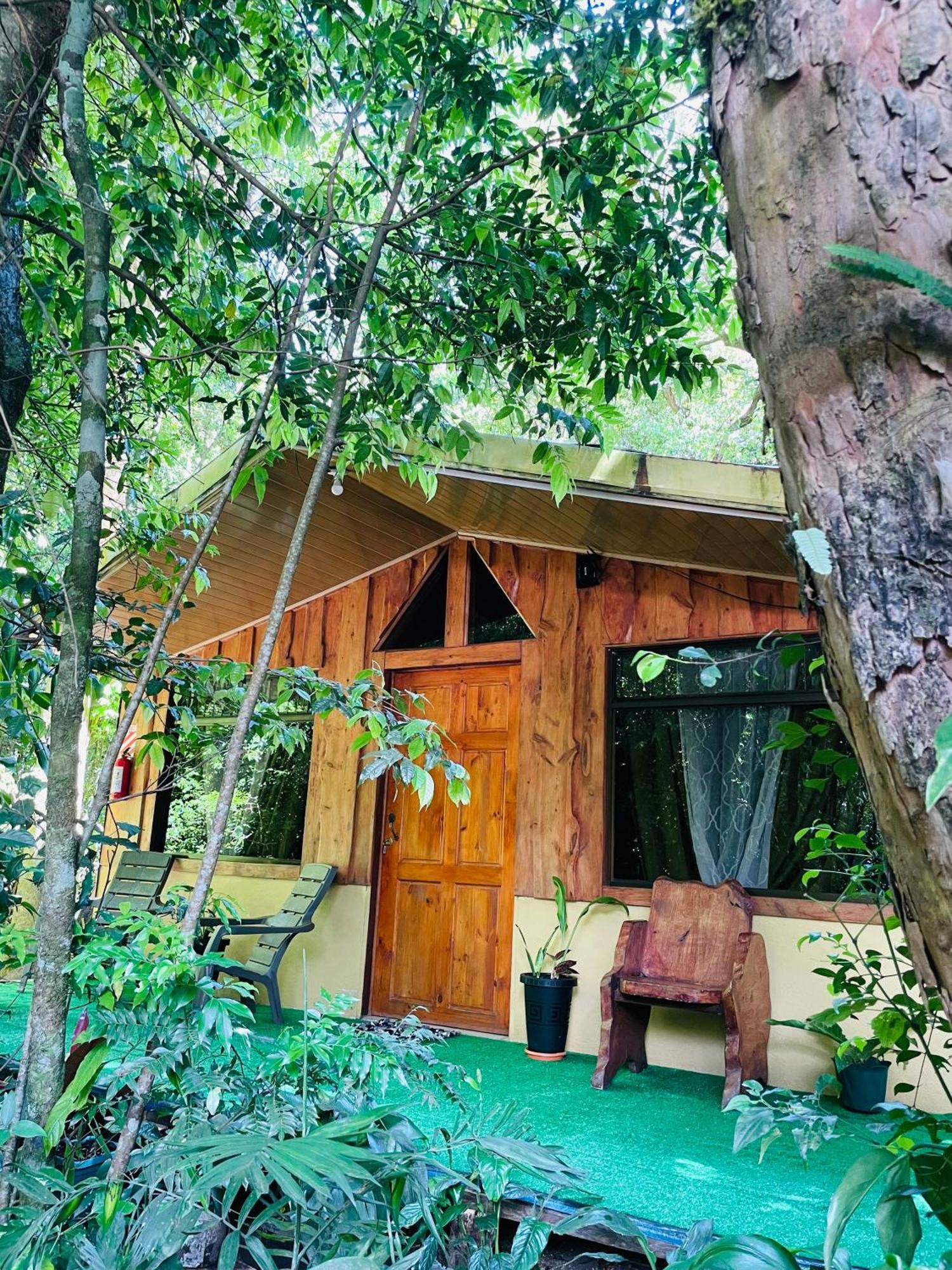 Cabanas La Montana Monteverde 외부 사진